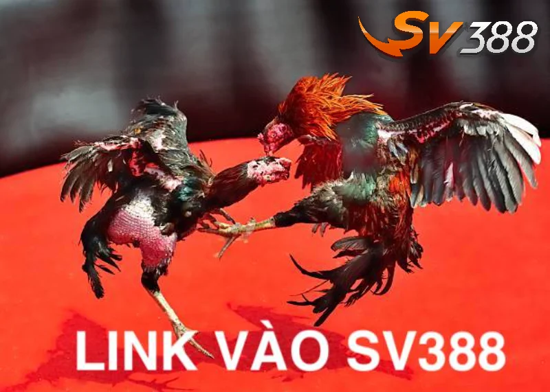 Bị chặn do tình trạng spam link vào SV388 quá mức