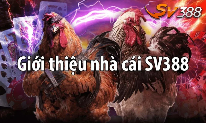 Giới thiệu tổng quan về SV388