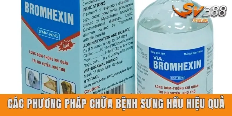 Các phương pháp chữa bệnh sưng hầu hiệu quả