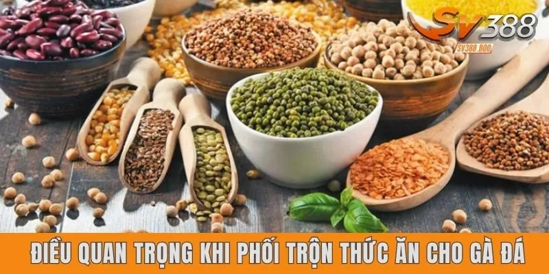 Điều quan trọng cần biết khi phối trộn thức ăn cho gà đá