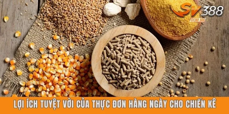 Lợi ích tuyệt vời của thực đơn hàng ngày cho chiến kê