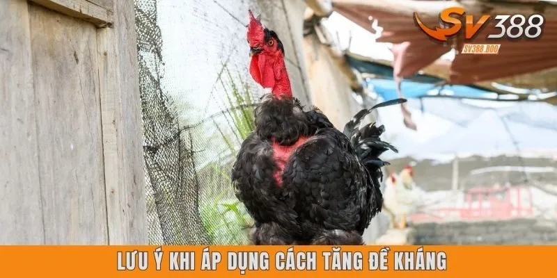 Lưu ý khi áp dụng cách tăng đề kháng