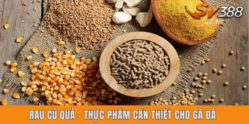 Rau củ quả - Thực phẩm cần thiết cho gà đá 