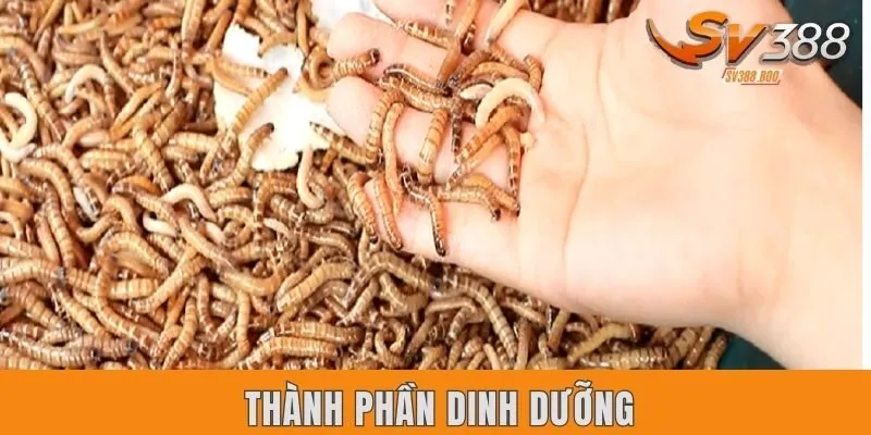 Thành phần dinh dưỡng cần cung cấp cho gà cực sắt