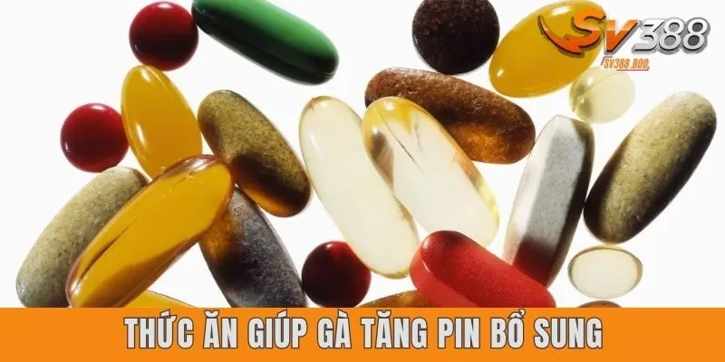 Thức ăn giúp gà tăng pin bổ sung