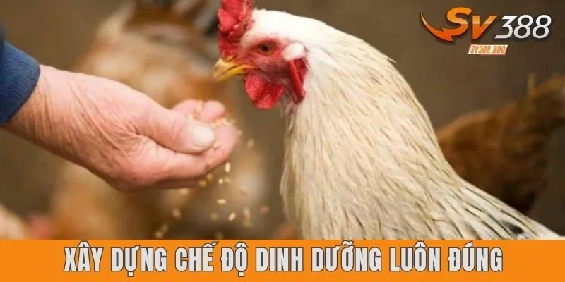 Trọn 2 bước xây dựng chế độ dinh dưỡng luôn đúng