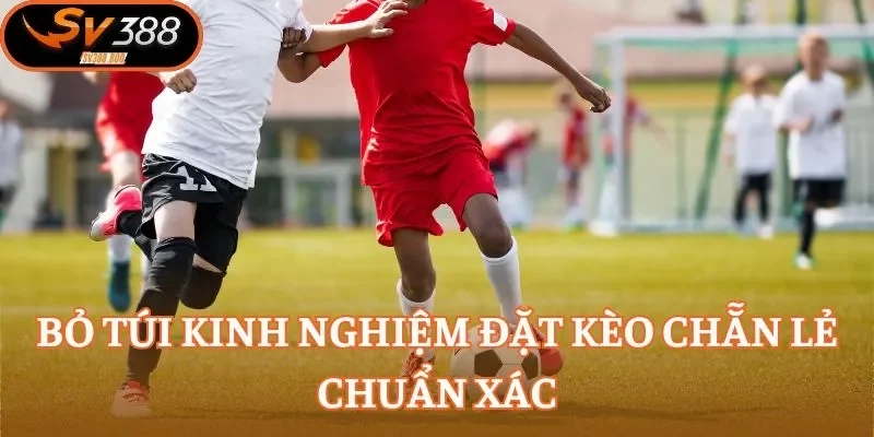 Bỏ túi kinh nghiệm đặt kèo chẵn lẻ chuẩn xác