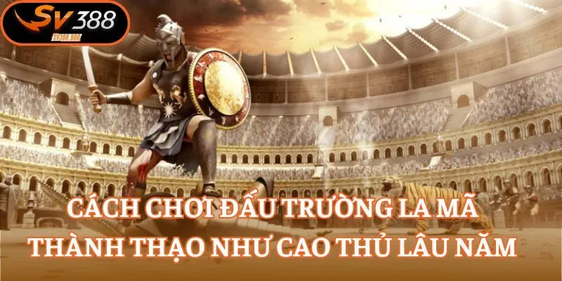 Cách chơi Đấu Trường La Mã thành thạo như cao thủ lâu năm