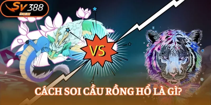Cách soi cầu Rồng Hổ chuẩn xác từng ván cho hội viên