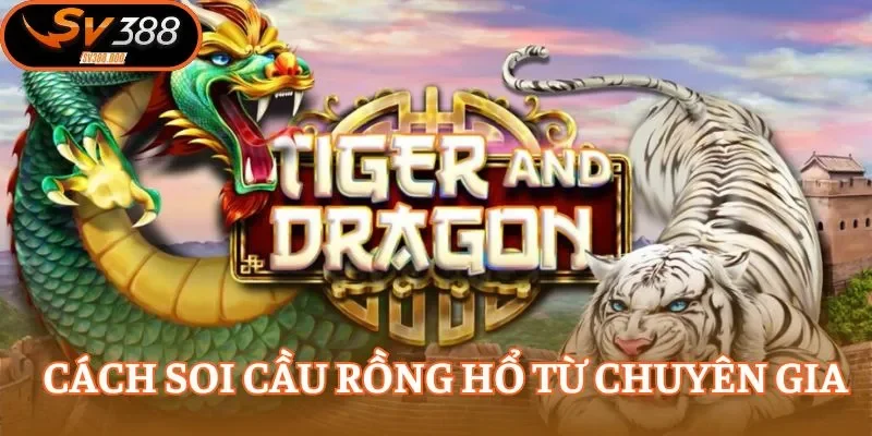 Cách soi cầu Rồng Hổ để dễ nhận ra quy luật