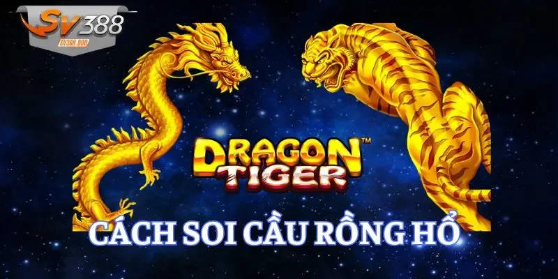 cách soi cầu rồng hổ