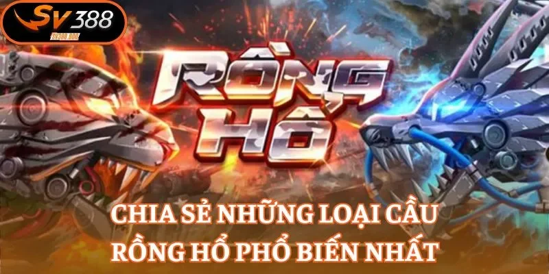 Chia sẻ những loại cầu Rồng Hổ phổ biến nhất