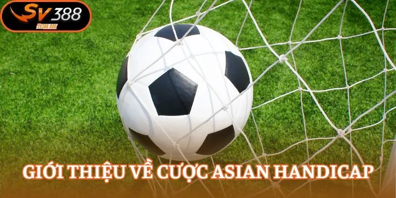 Giới thiệu về cược Asian Handicap