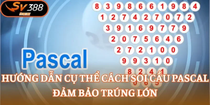 Hướng dẫn cụ thể cách soi cầu Pascal đảm bảo trúng lớn