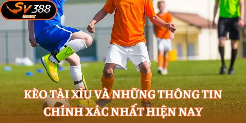 Kèo Tài Xỉu và những thông tin chính xác nhất hiện nay
