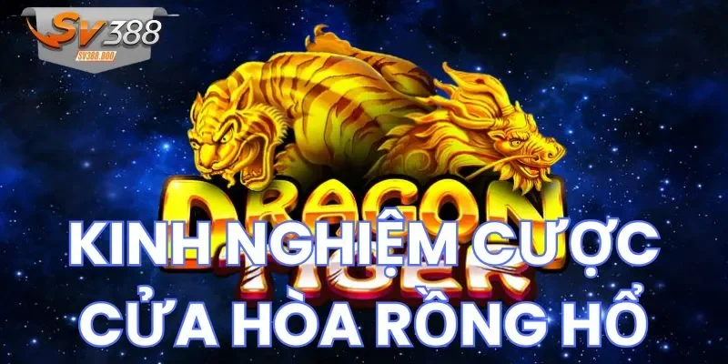 Loạt kinh nghiệm cược cửa hòa Rồng Hổ phổ biến hiện nay