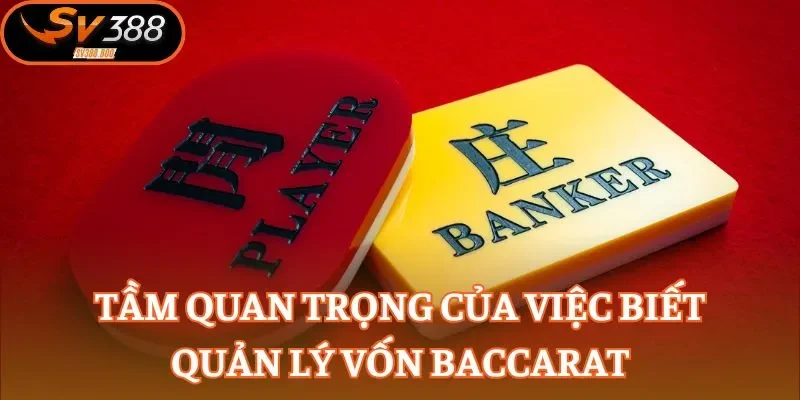 Tầm quan trọng của việc biết quản lý vốn Baccarat