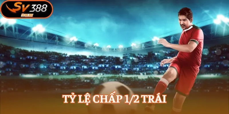 Tỷ lệ chấp 1/2 trái